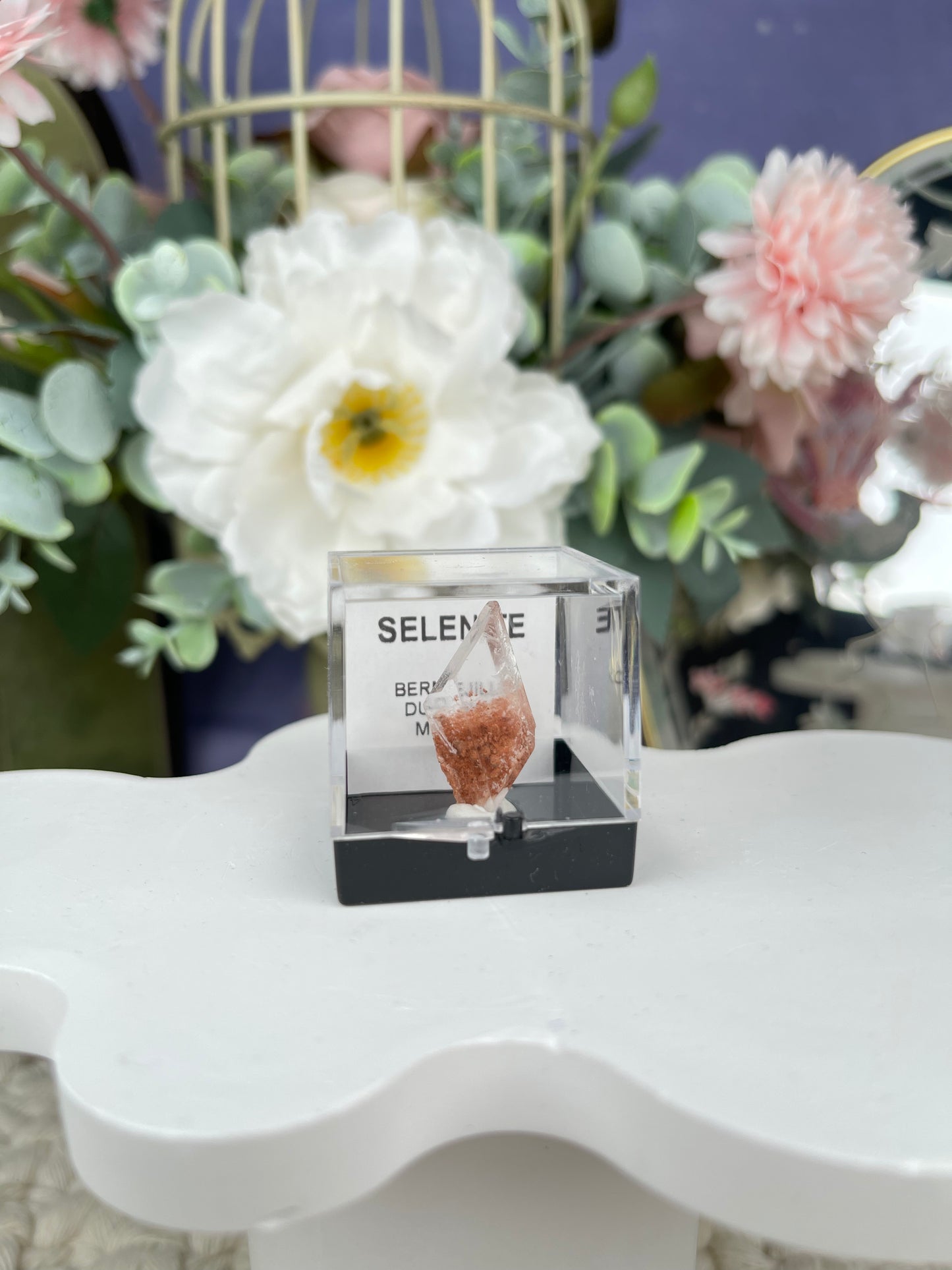 Bermejillo Selenite Specimen