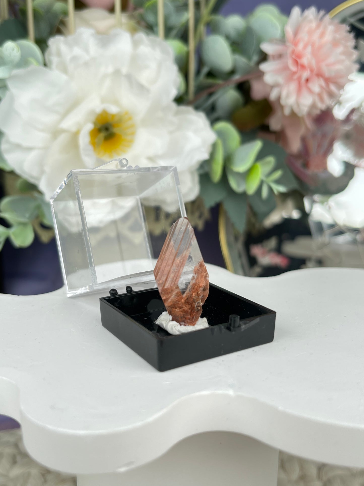 Bermejillo Selenite Specimen