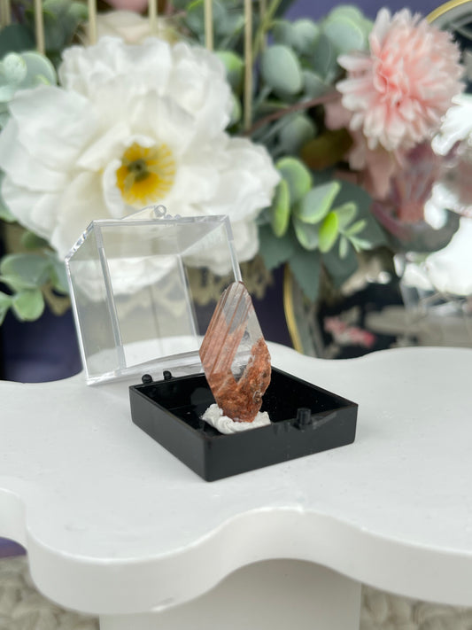 Bermejillo Selenite Specimen