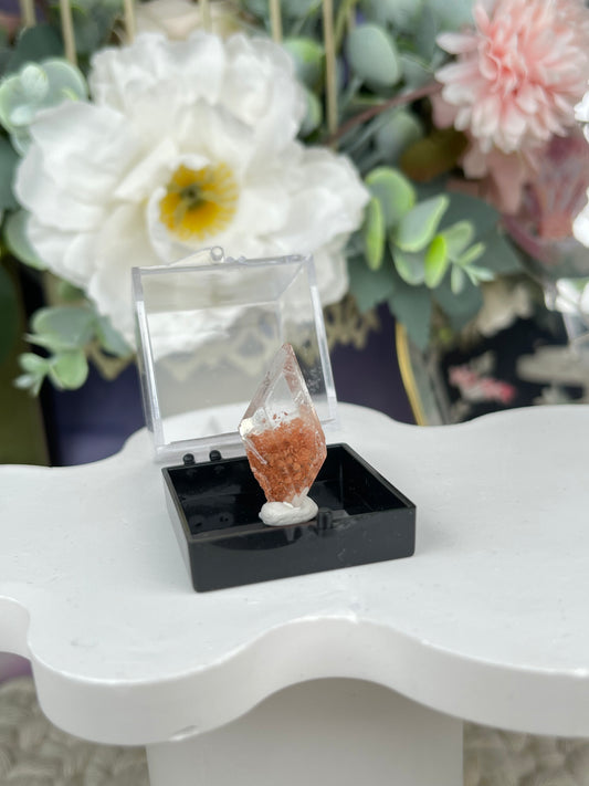 Bermejillo Selenite Specimen