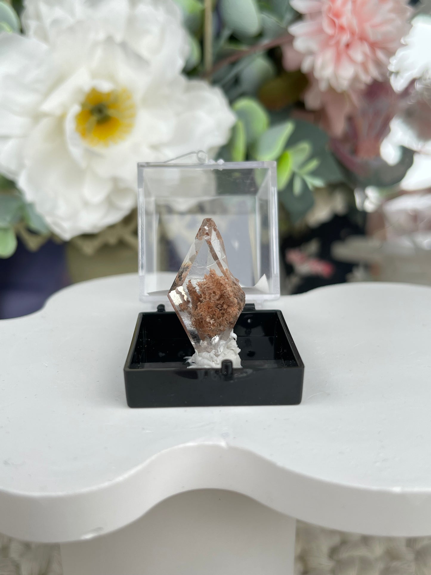 Bermejillo Selenite Specimen
