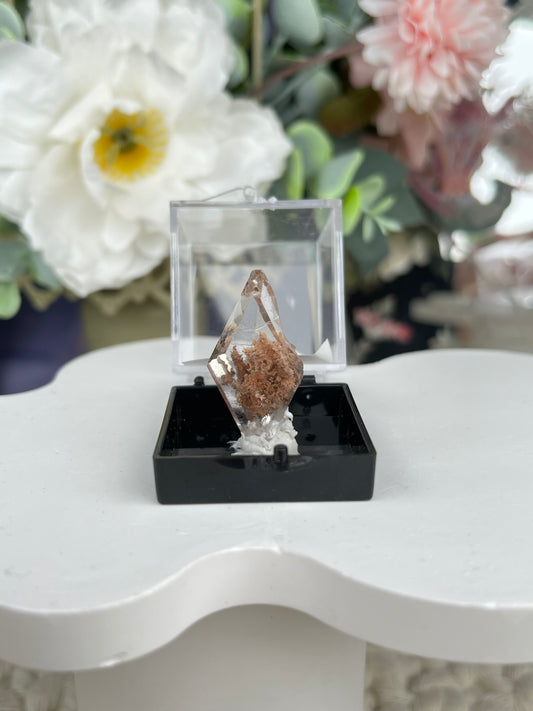 Bermejillo Selenite Specimen