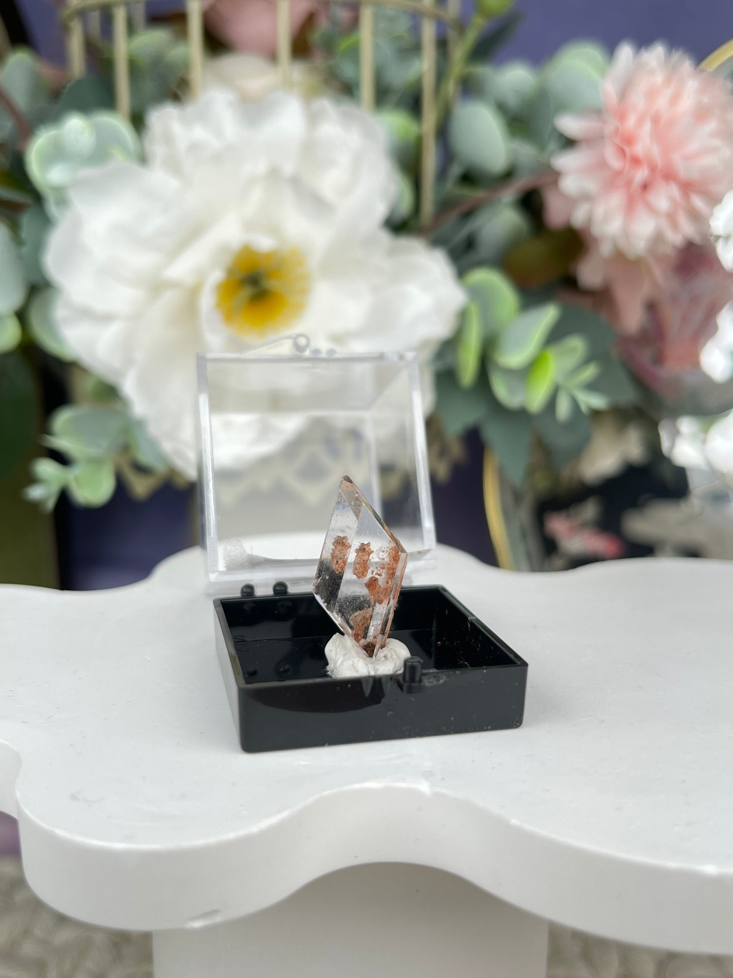 Bermejillo Selenite Specimen
