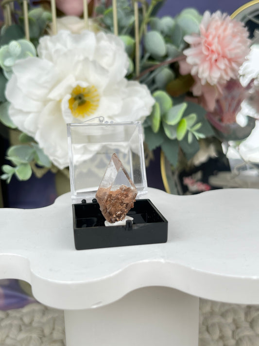 Bermejillo Selenite Specimen