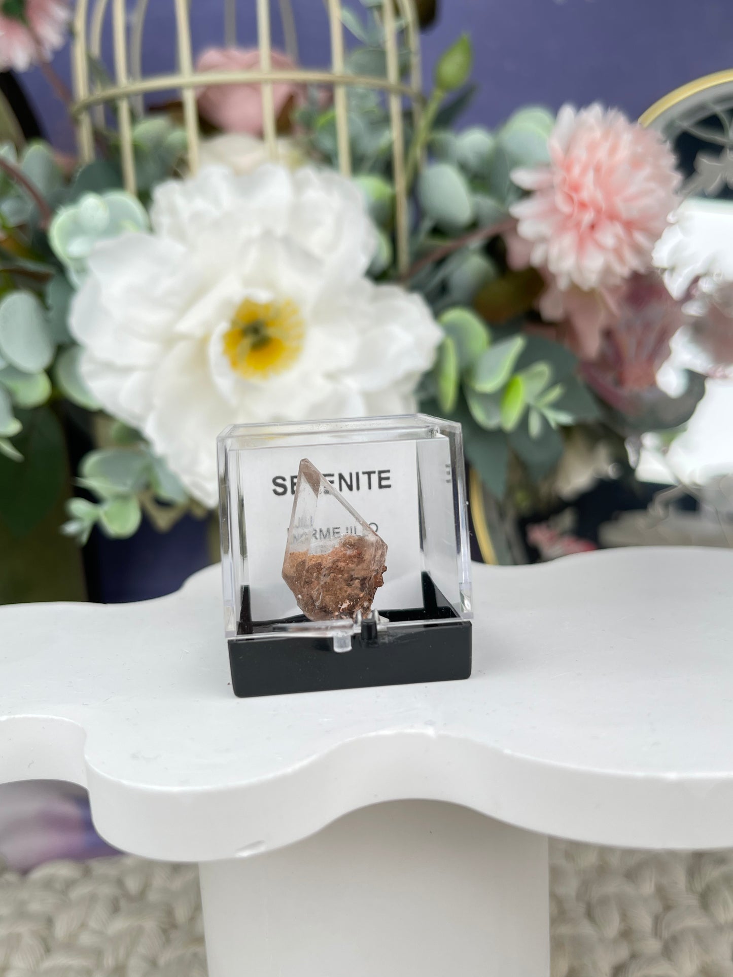 Bermejillo Selenite Specimen
