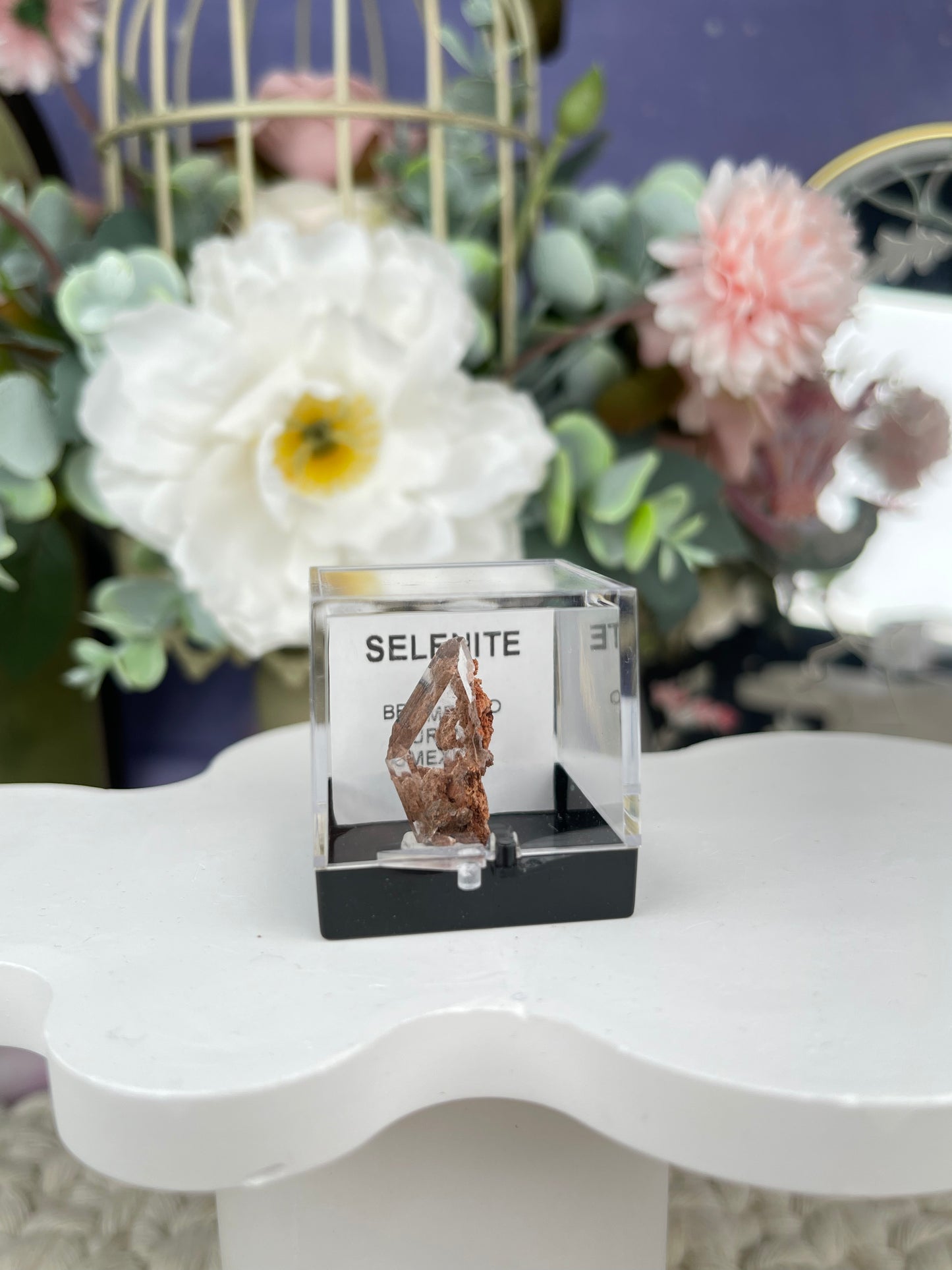 Bermejillo Selenite Specimen