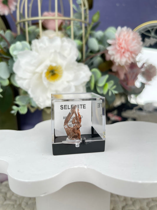 Bermejillo Selenite Specimen